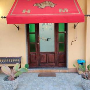 Фотографии гостиницы
Hotel Merlino