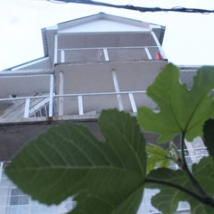 Фотография гостевого дома Родное место