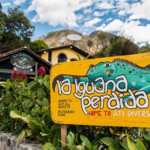 Фотографии гостиницы 
            La Iguana Perdida