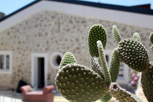 Фотография мини отеля Le Mangiatoie del Cavaliere