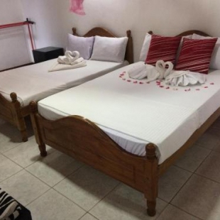 Фотография гостиницы Lark Nest Hotel