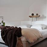 Фотография гостиницы Hotel VIVA CREATIVO
