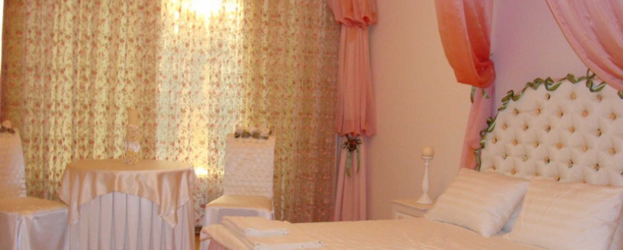 Фотографии гостиницы 
            Метелица