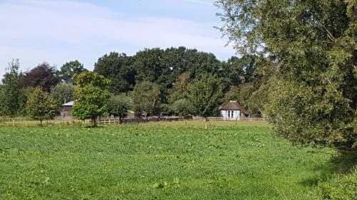 Фотография мини отеля Casaprisco