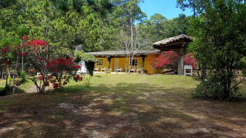 Фотография гостиницы Cabañas Bosque llano de la Virgen