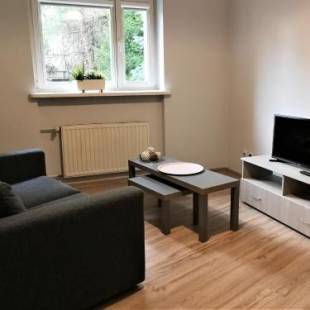 Фотографии хостела
Dom Studencki Zaułek