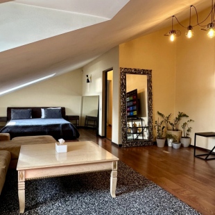 Фотография квартиры Апартаменты Двухкомнатная Студия с Видом на Санкт-Петербург!