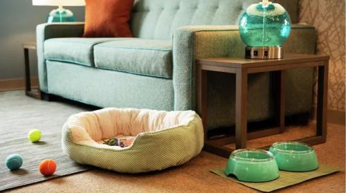 Фотография гостиницы Home2 Suites By Hilton Boston South Bay