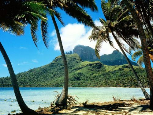 Фотография мини отеля Pousada Solar da Praia