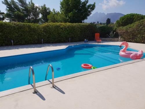 Фотография гостевого дома Villa Flore