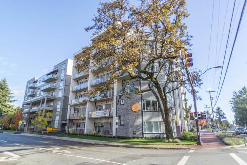 Фотография апарт отеля SoLo Suites