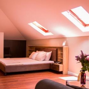 Фотография гостиницы Hotel Domus