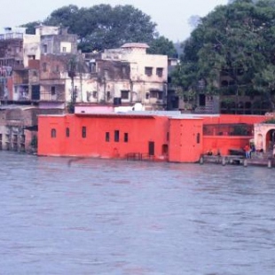 Фотография гостевого дома Patnimal Guesthouse