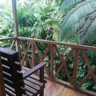 Фотографии гостиницы 
            Citronela Lodge Corcovado