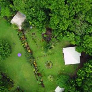 Фотография гостиницы Nypa Style Resort Camiguin