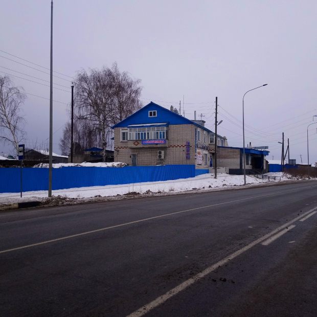 Фотографии гостиницы 
            Фиалка