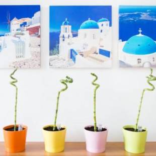 Фотографии мини отеля
Villino Elda