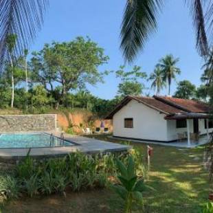 Фотографии мини отеля
Serendipity (Weligama)