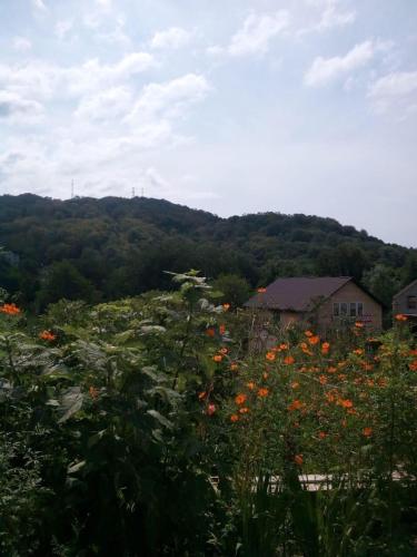 Фотография гостиницы Алан