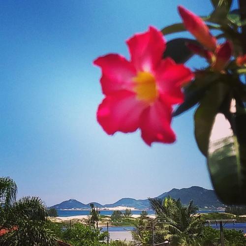 Фотография гостевого дома Morada Canto Verde Guarda do Embaú - sinta-se acolhido na ecocasa da Dete
