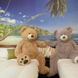 Фотография мини отеля Hai Yang Homestay