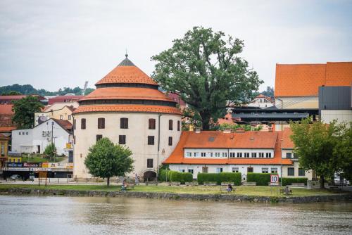 Фотография мини отеля Fani&Rozi B&B