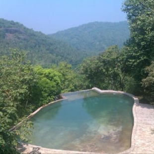 Фотография гостиницы Birds Park Polgahawela