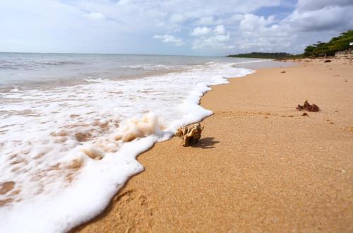 Фотография мини отеля Pousada Rigatoni