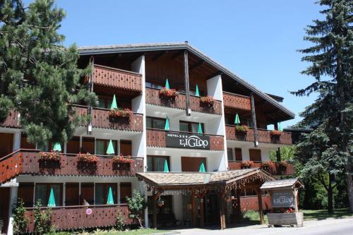 Фотография гостиницы Hotel Igloo