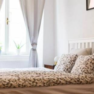 Фотографии гостиницы
B&B Krumlov