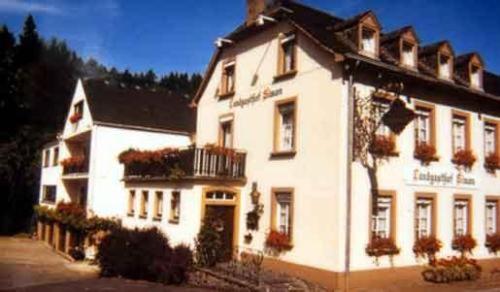 Фотография гостиницы Hotel Landgasthof Simon