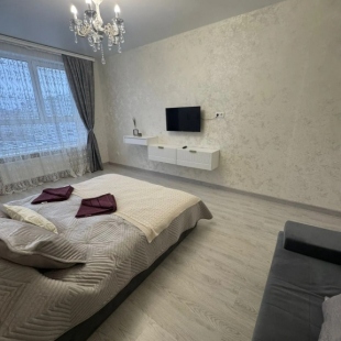 Фотография квартиры Квартира Однокомнатная Тц глобус