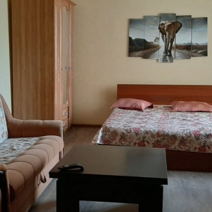 Фотография квартиры Апартаменты от Людмилы на улице Революции 1905 года