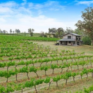 Фотография гостевого дома iyla Estate