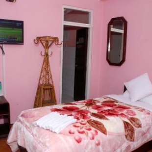 Фотография гостиницы Hotel Travelers Home