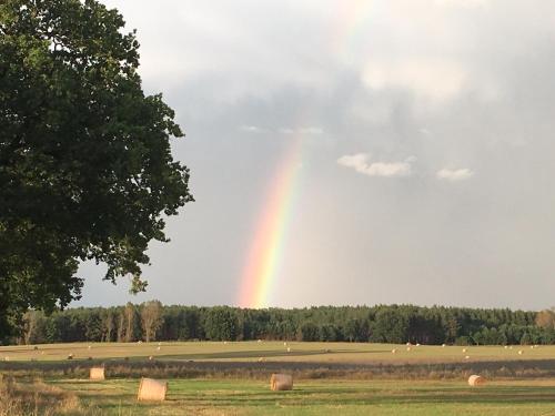 Фотография гостевого дома LOFT 1 "Casa mobile" - LOFT 2 plus 2 Personen auf Anfrage - Lutherstadt Wittenberg-MITTEN drin im WELTKULTUR - Erbe