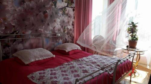 Фотография мини отеля Guest house on Airport Highway 144