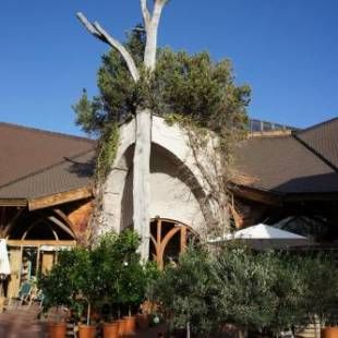 Фотографии гостиницы
Naturata Hotel