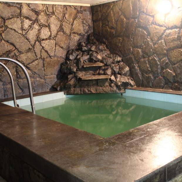 Фотографии сауны
Золотой Лев