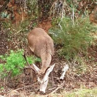 Фотографии гостевого дома
Casa Rural Peña Falcón