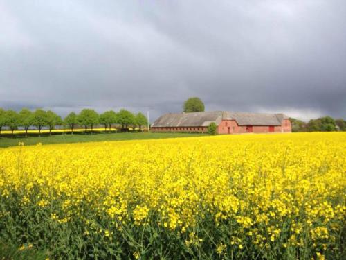 Фотография базы отдыха Meldbjerg