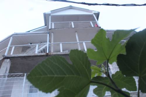 Фотографии гостевого дома
Родное место