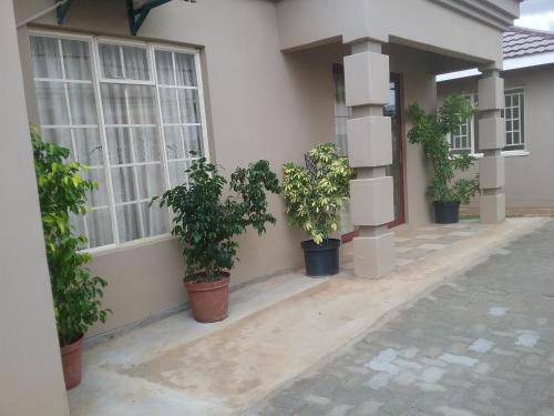 Фотография мини отеля The Star B&B