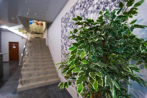 Фотография хостела Ночлежка