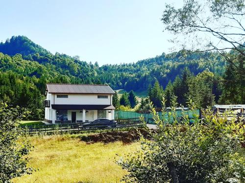 Фотография гостевого дома Cabana Căsaru