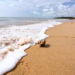 Фотография мини отеля Pousada Rigatoni