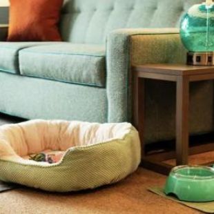 Фотография гостиницы Home2 Suites By Hilton Boston South Bay