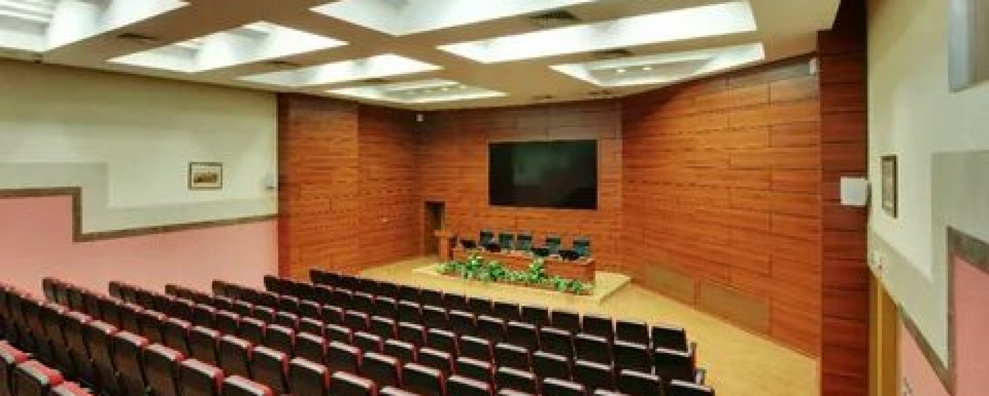 Фотографии конференц-зала Конгресс-центр Первого МГМУ имени И. М. Сеченова Зал Пирогов