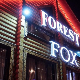 Фотография гостиницы Forest & Fox