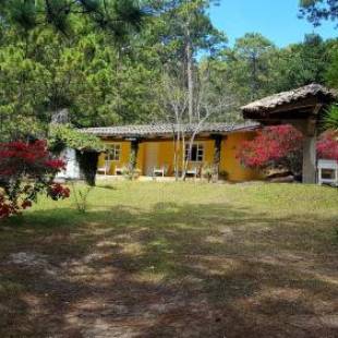 Фотографии гостиницы
Cabañas Bosque llano de la Virgen